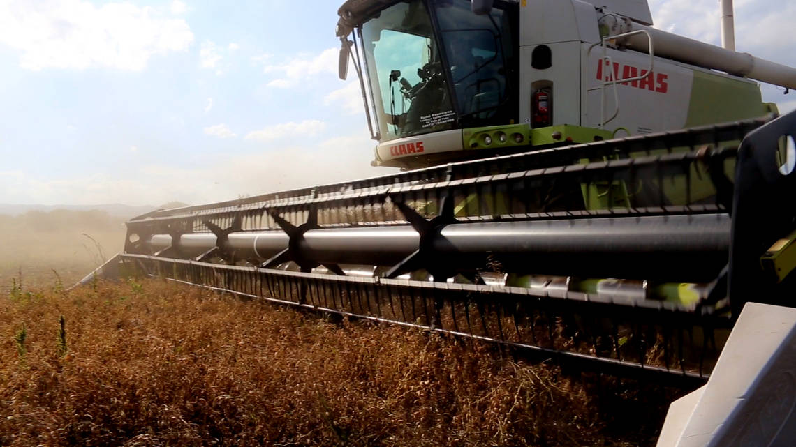 Modern technology ensures high efficiency during the harvest.